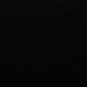 Meet your Posher, Joey